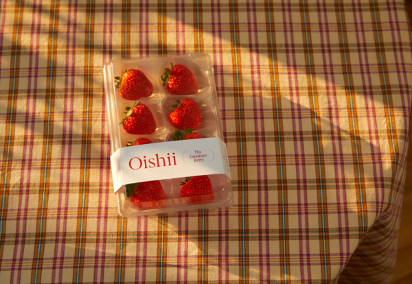미국 식물공장 스타트업 '오이시이 팜'이 생산한 '오마카세 딸기' /사진=오이시이 팜
