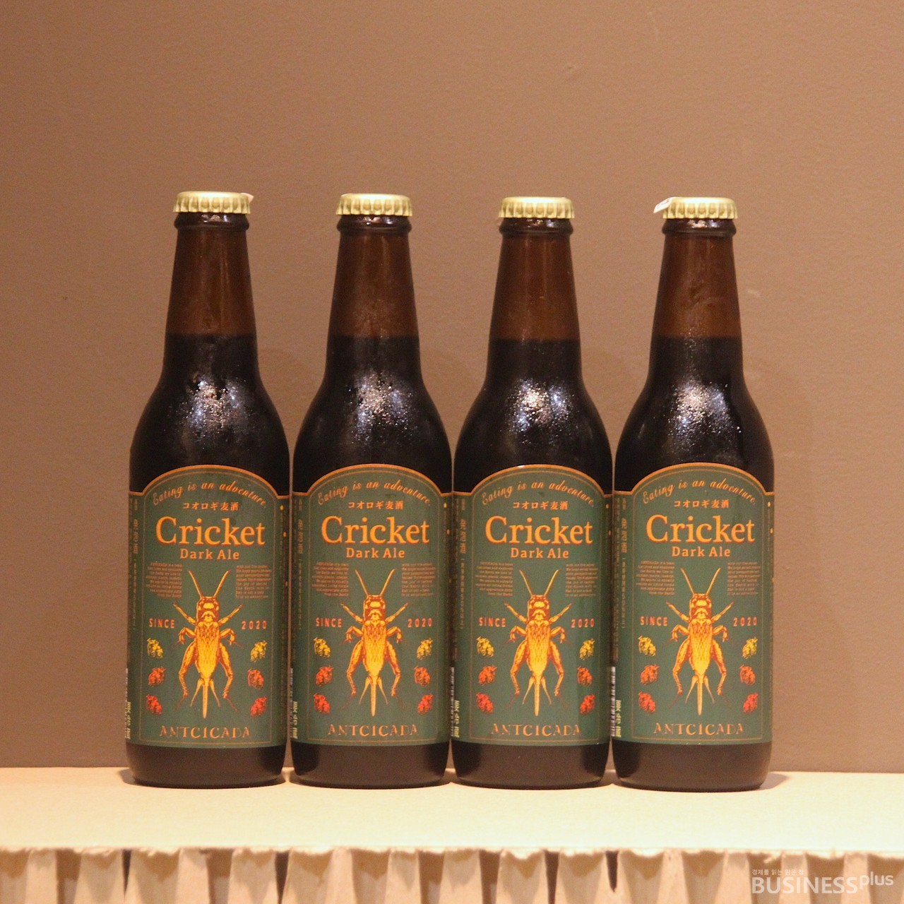 사진=안토시카다