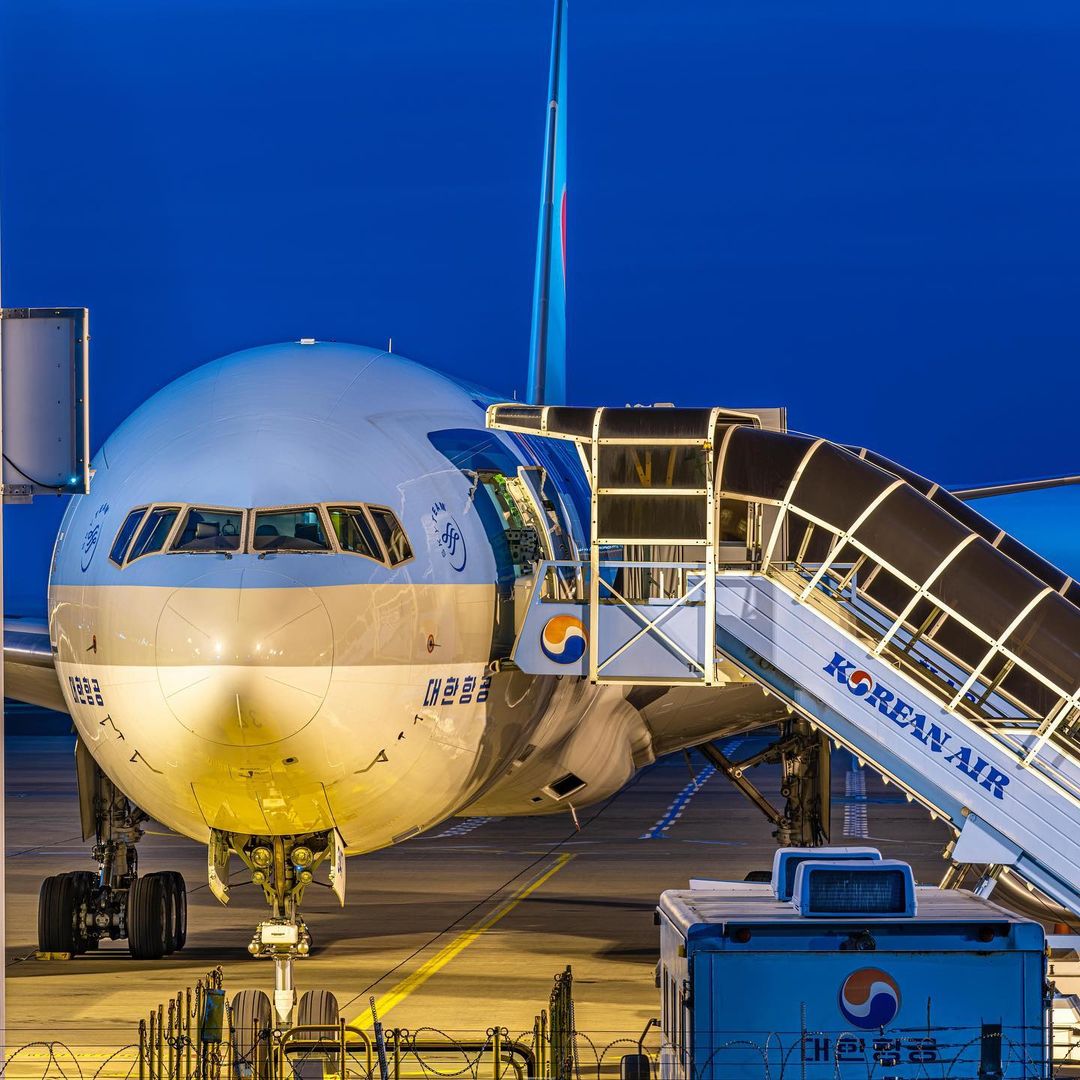 일본 안 가 대한항공 7월 일본행 항공편 축소 라이프스타일 웰스 라이프 기사본문 비즈니스플러스