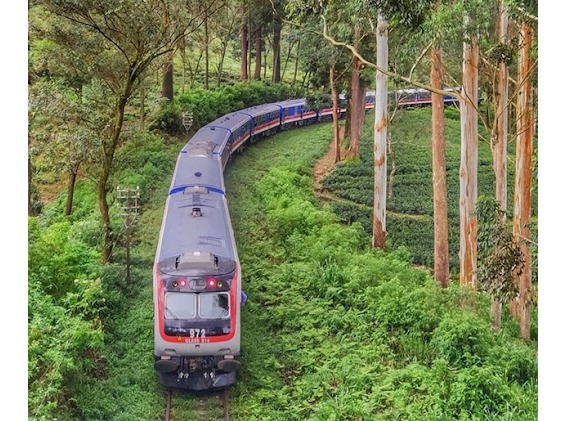 스리랑카 철도 모습 /사진=스리랑카철도부