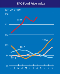 세계 식품물가지수/자료=유엔 식량농업기구(FAO)