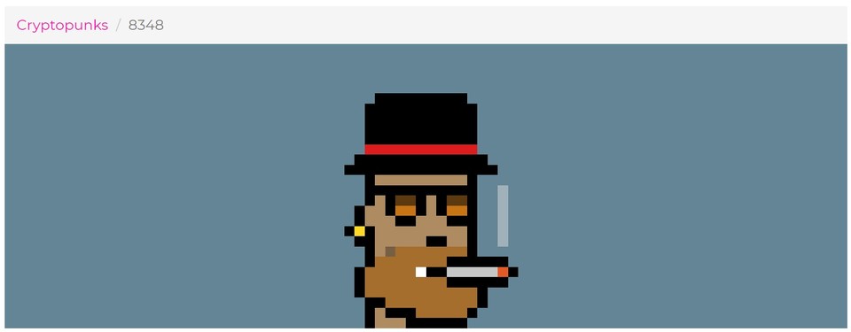크립토펑크 투자자들 사이에서 최고 가치 캐릭터로 꼽히는 '크립토펑크 8348'/사진=라바랩스 웹사이트