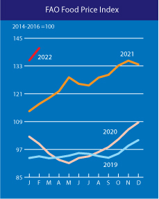 세계식품물가지수(FFPI) 추이/자료=유엔 식량농업기구