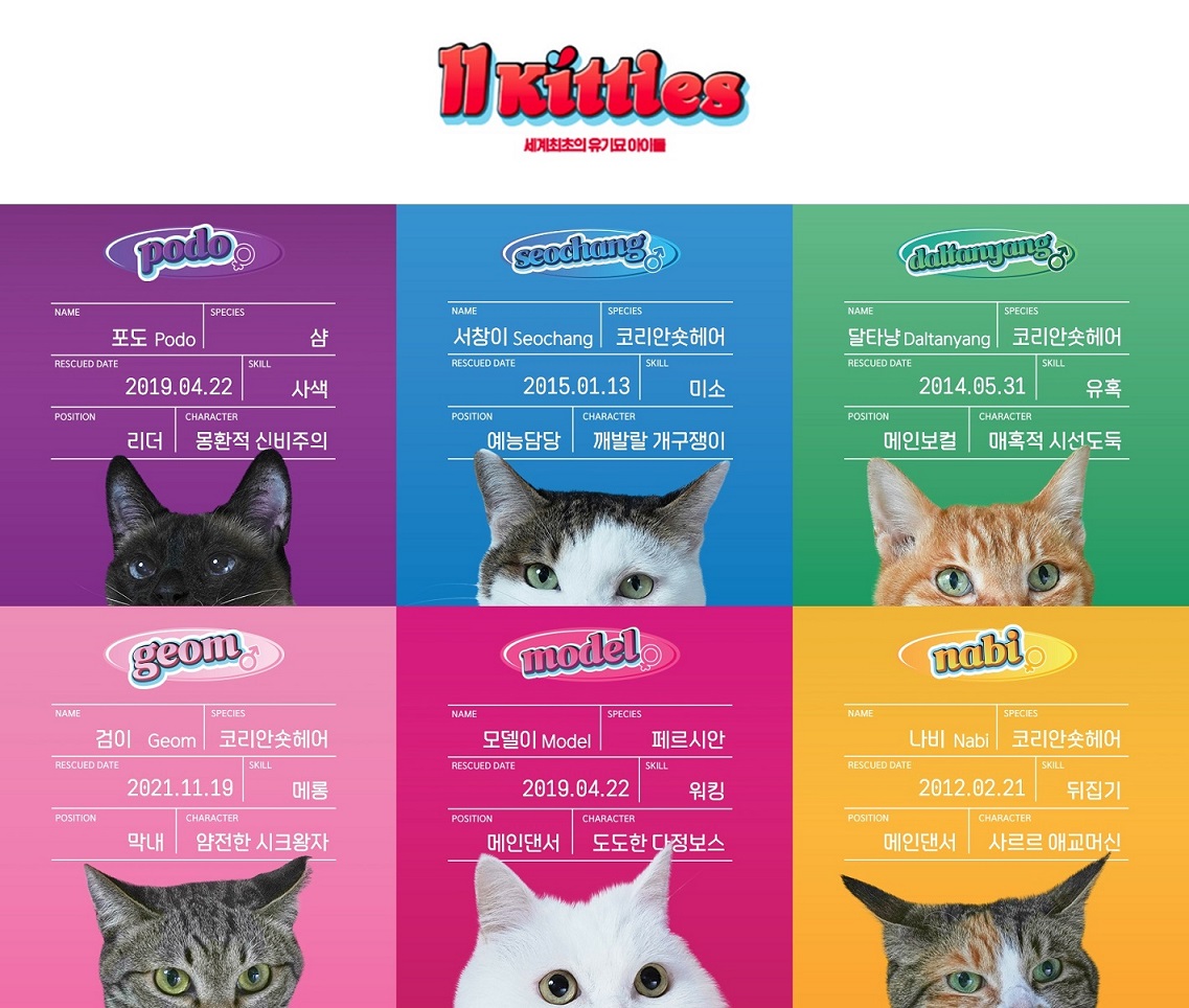 11키티즈 메인 멤버 소개. / 사진 = 11번가