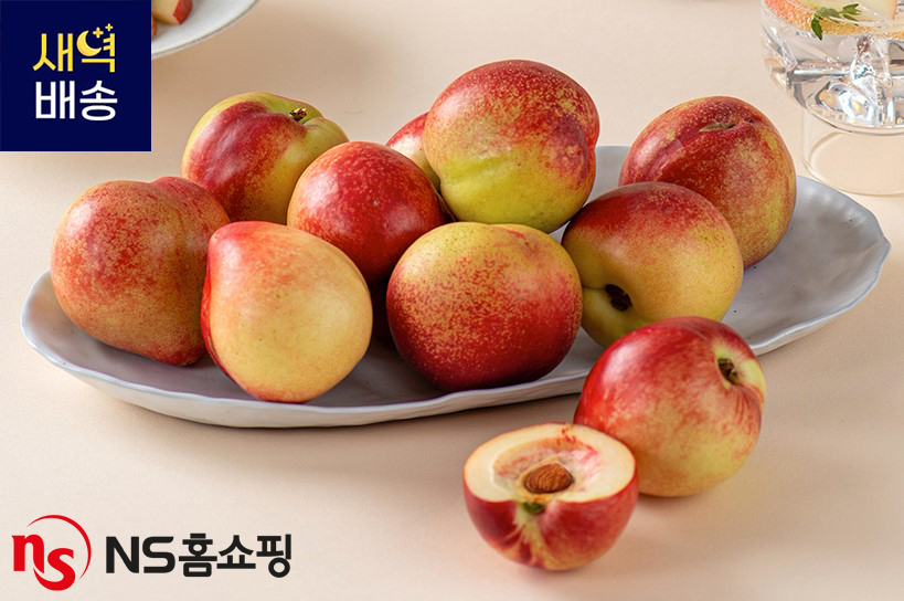 / 사진 = NS홈쇼핑