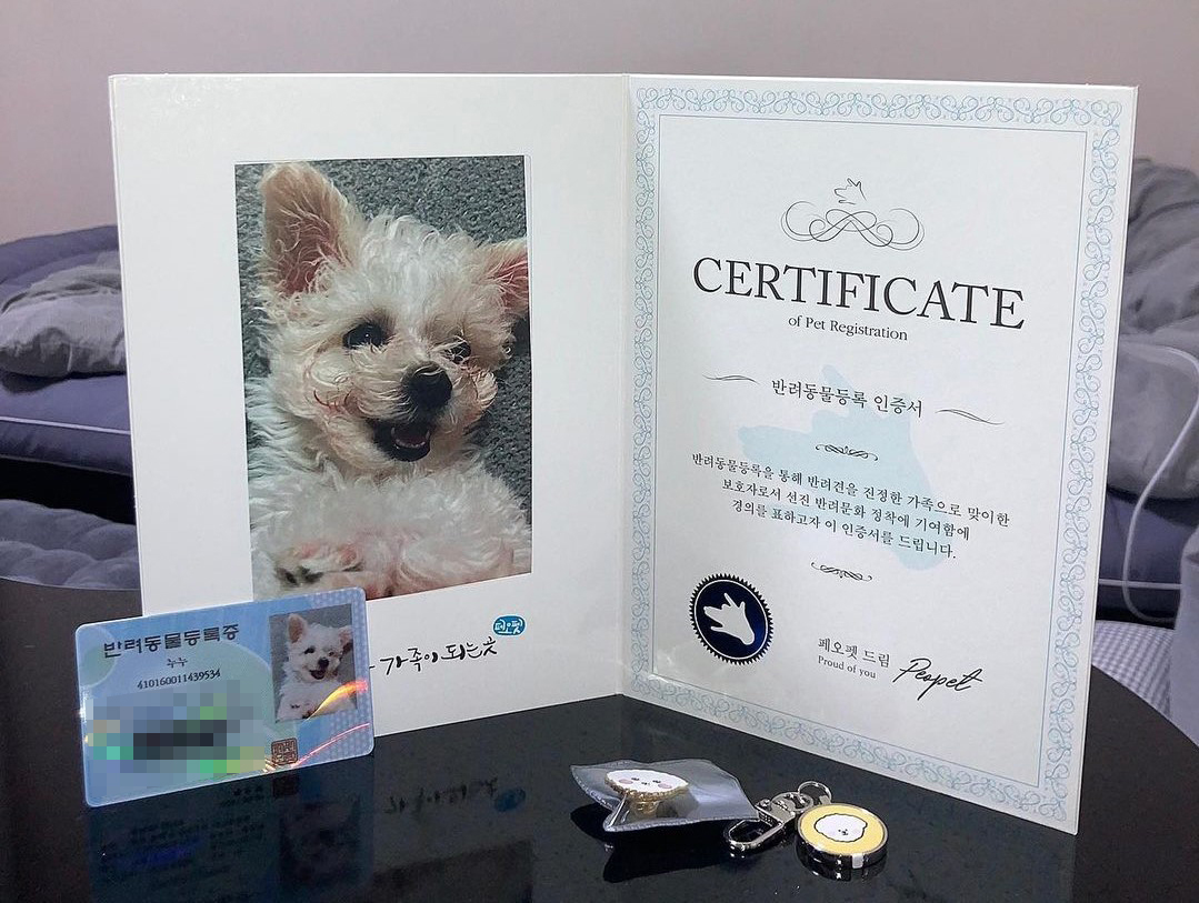 이마트24에서 판매하는 페콩칩 패키지. / 사진 = 이마트24