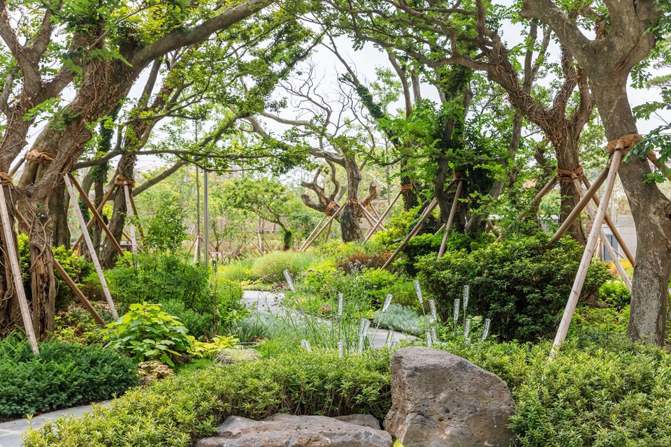 '남산 롯데캐슬 센트럴스카이'의 팽나무 숲길(여름) / 사진=롯데건설