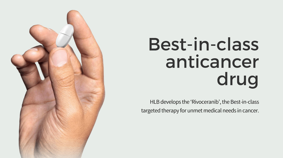 사진=HLB 웹사이트 바탕화면 캡처