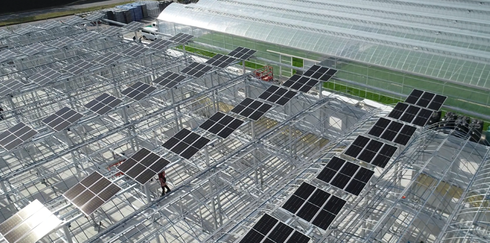 양평농협 스마트농업지원센터 태양광 스마트팜 외부. / 사진=한화솔루션