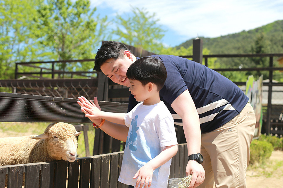 이랜드파크 켄싱턴호텔 평창 애니멀팜 / 사진=이랜드파크