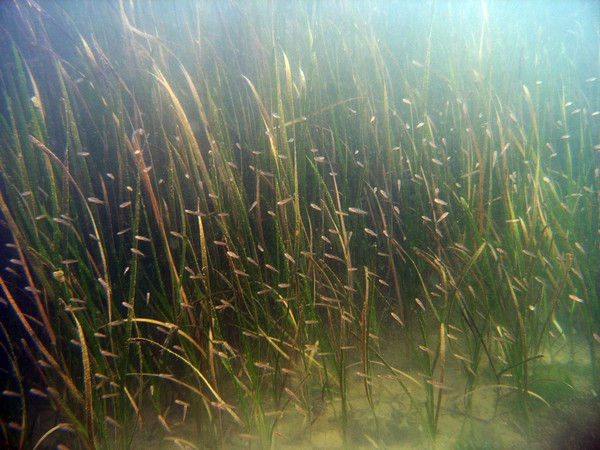 사진=KB국민은행