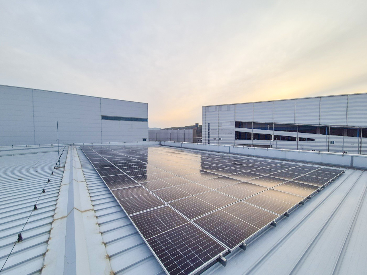 사진=현대면세점