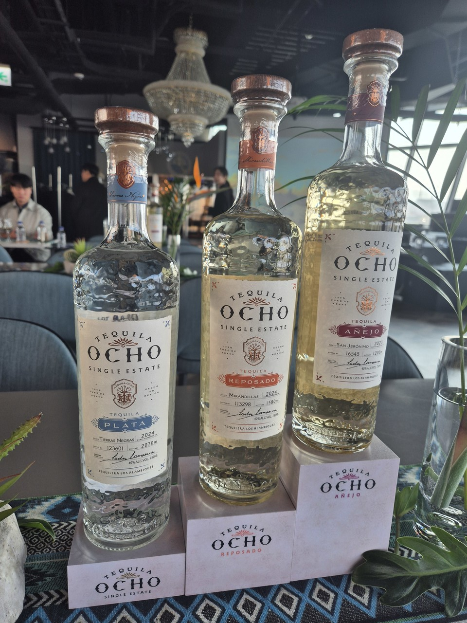 사진=최연성 기자