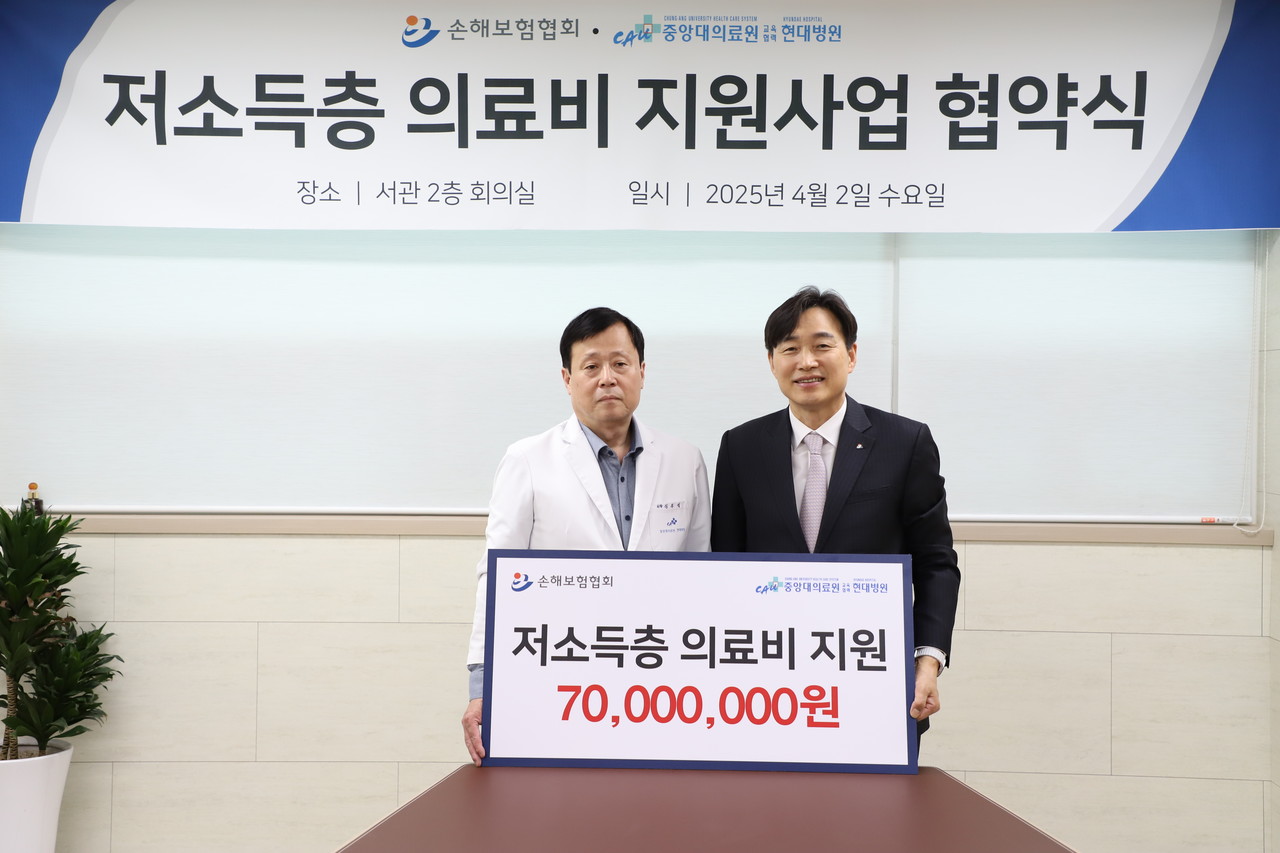 사진=손해보험협회