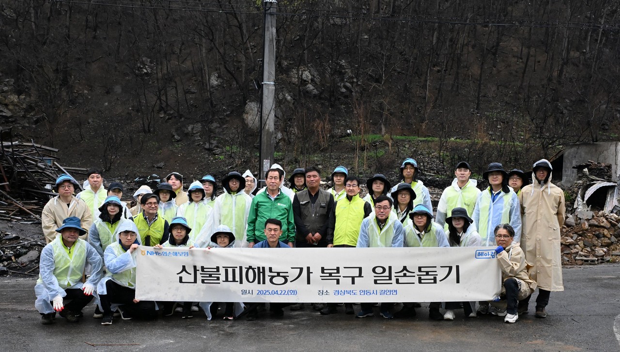 사진=농협손해보험