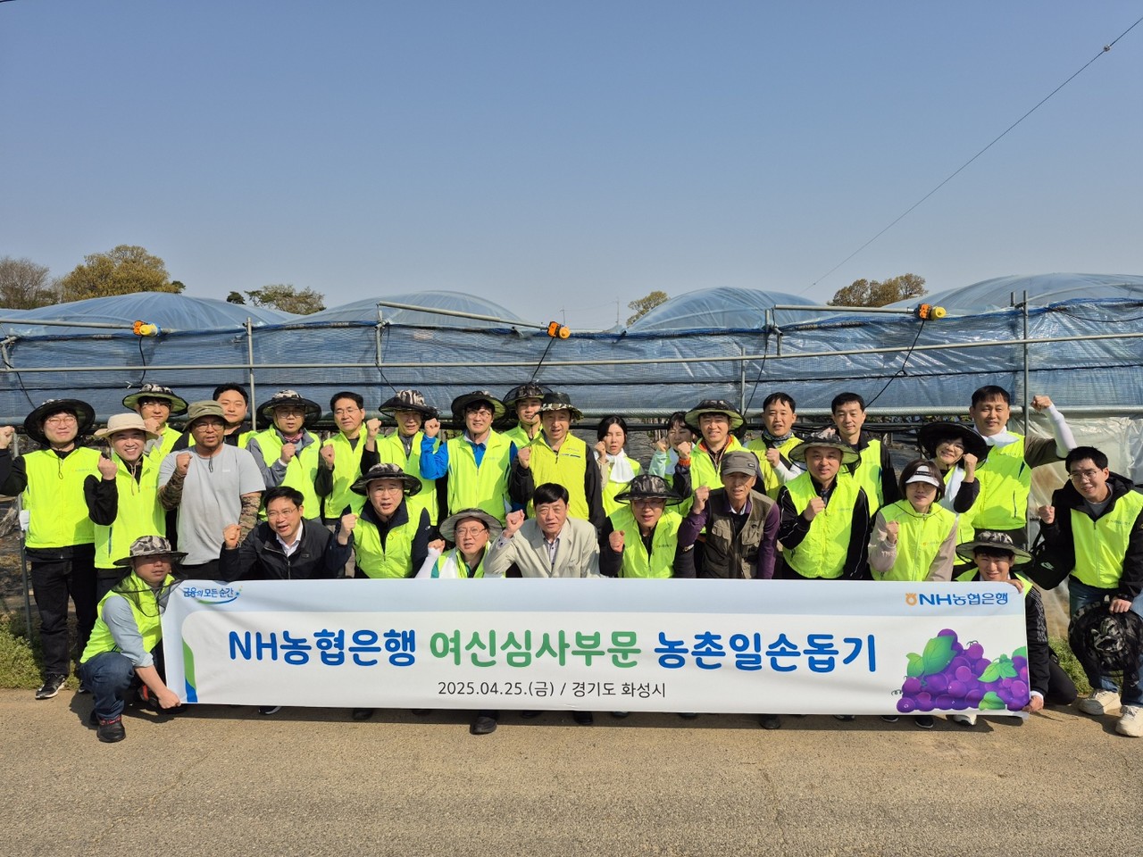 김성훈 농협은행 부행장(사진 첫줄 가운데)을 비롯한 여심심사부문 임직원들이 경기도 화성시 소재 농가를 찾아 농촌일손을 도왔다. / 사진=농협은행