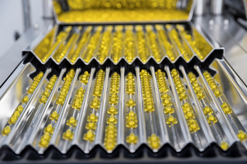 연질캡슐 생산공정 과정 /사진=알피바이오