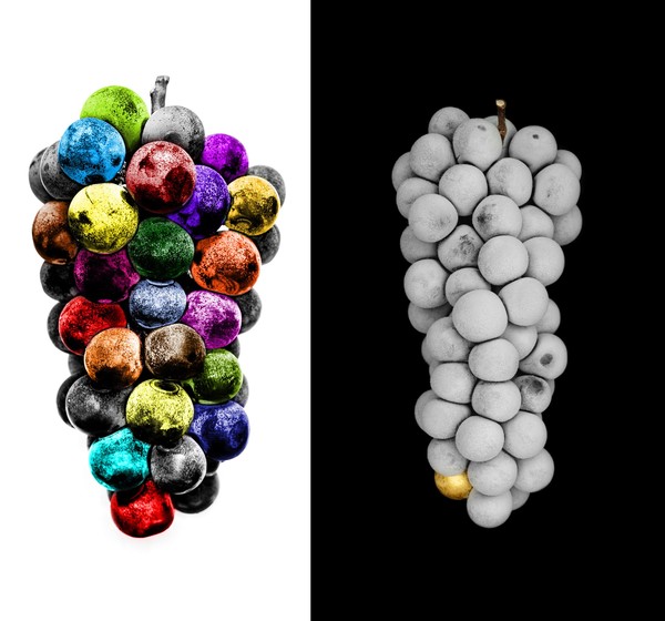 천안 센터시티에서 전시하는 고려명 작가의 작품 '포도' /사진=갤러리아백화점