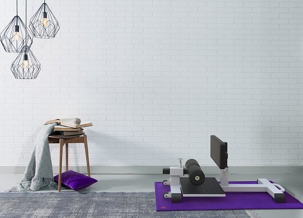 건강한 형제들 홈트 기구 /사진=건강한형제들