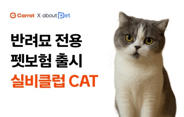 사진=캐롯손해보험