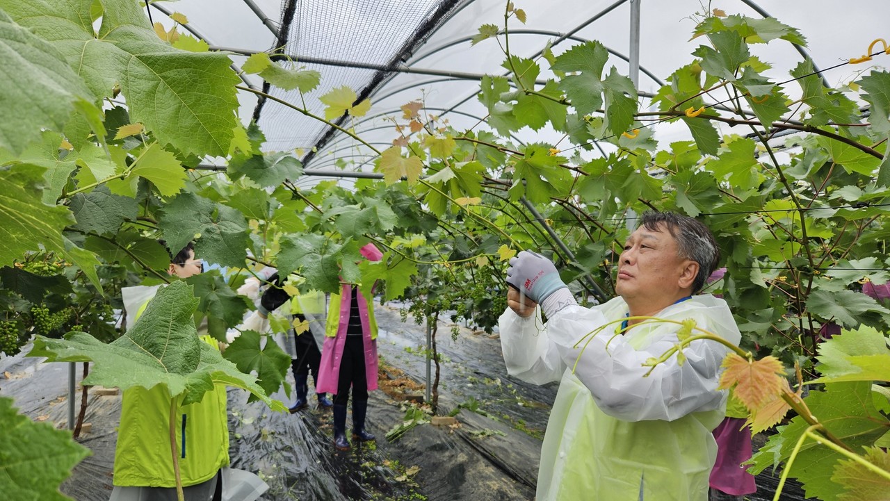 사진=NH농협리츠운용