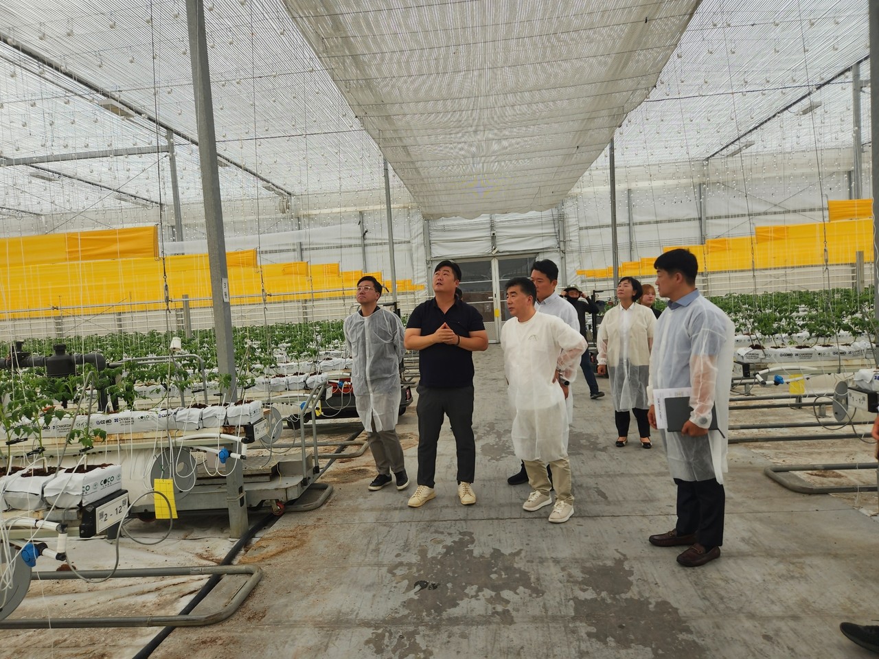  NH농협은행 농업,공공부문 백남성 부행장이 농업회사법인 팜팜(주)를 방문해 스마트팜 이후 토마토 재배에 대한 이야기를 하고 있다. / 사진=NH농협은행