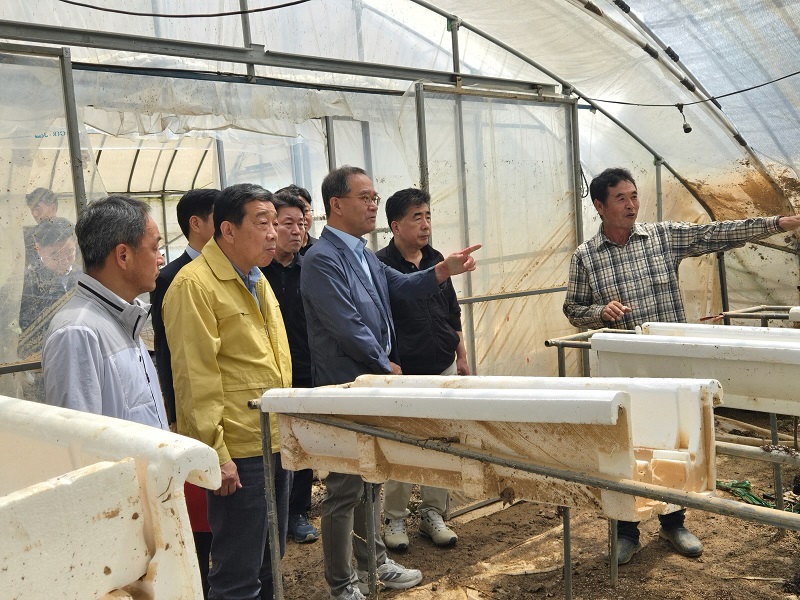 NH농협금융지주 이찬우 회장은 21일, 충남 홍성군 침수 피해를 입은 딸기 농가를 찾아 농업인의 피해 현황과 애로사항을 청취하고 있다. / 사진=