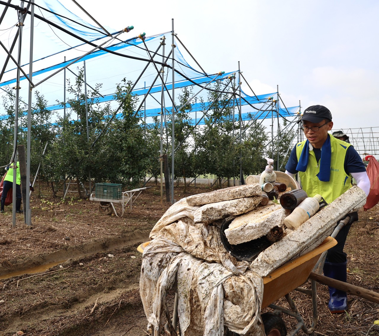 사진=NH농협생명