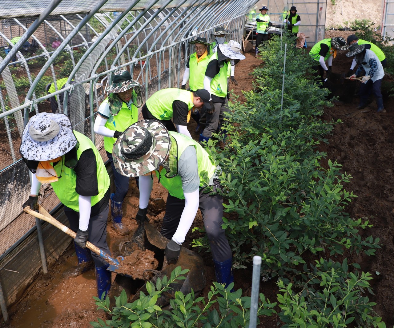 사진=농협상호금융