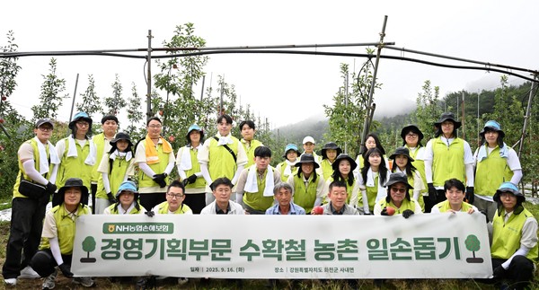 유지영 NH농협손해보험 경영기획부사장(앞줄 오른쪽 세 번째)을 비롯한 임직원들이 지난 16일 농번기 일손 부족으로 어려움을 겪고 있는 강원 화천군 소재 사과 농가를 찾아 수확철 일손돕기를 실시한 뒤 기념촬영을 하고 있다. / 사진=농협손해보험