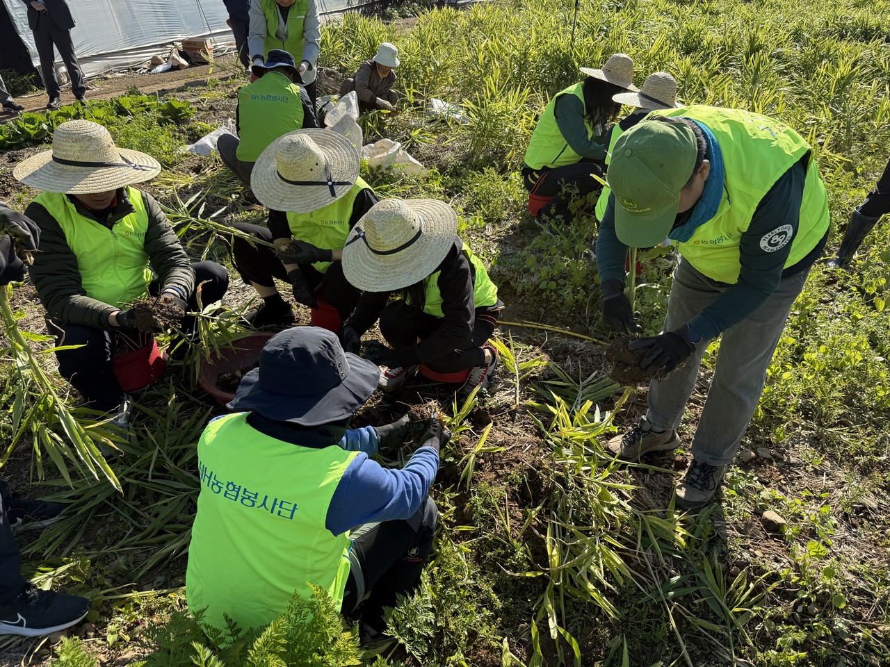 사진=NH농협은행