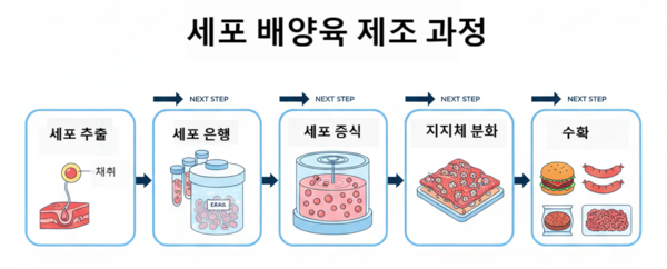 [식물성 대체육③/경쟁재]저단백 단점 보완 위해 동물성 배양육 뜬다