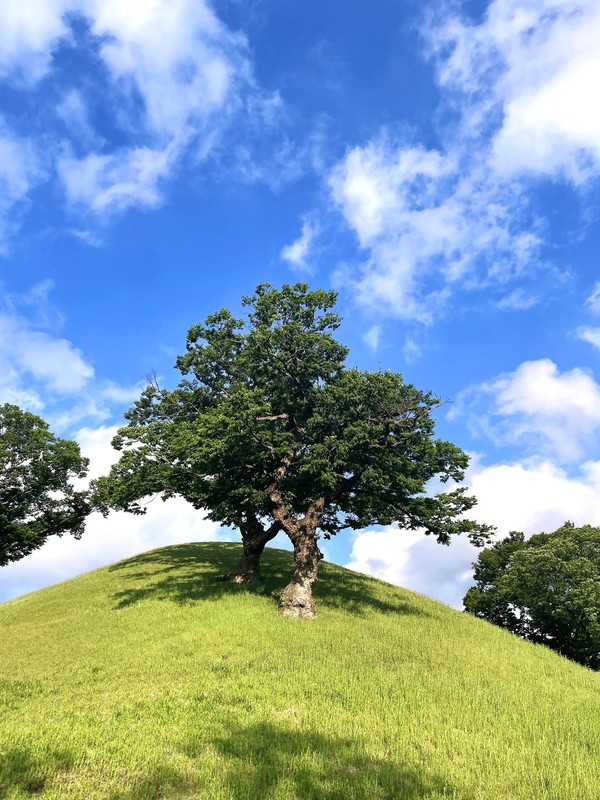 제2회 HS효성 2026 사진 공모전 당선작./사진=HS효성