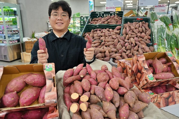 호풍미 고구마 /사진=롯데마트