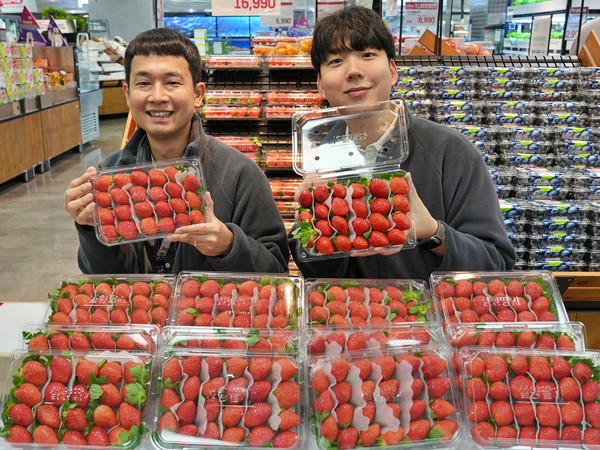 무라벨 설향 딸기 / 사진=롯데마트
