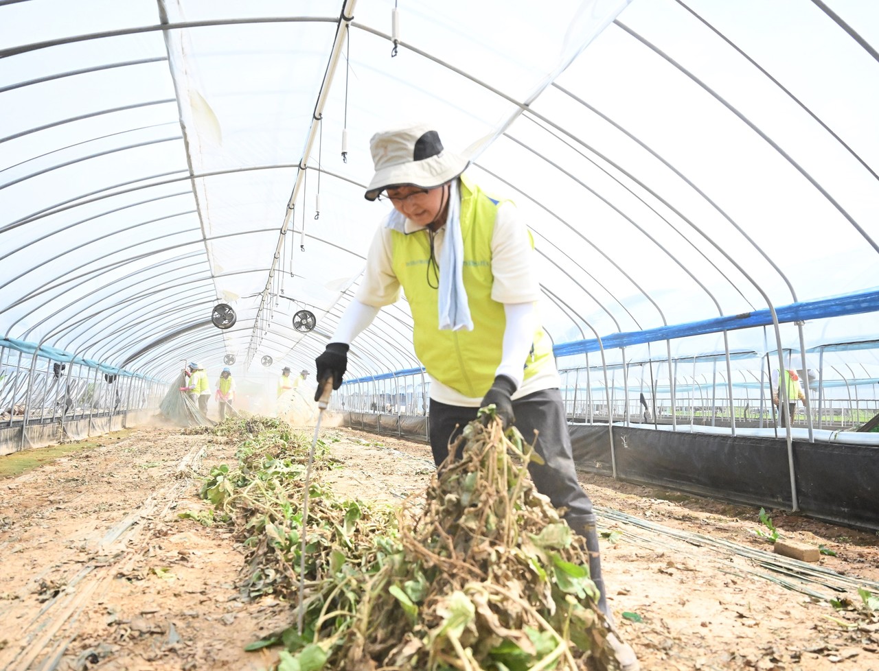 사진=NH농협손해보험