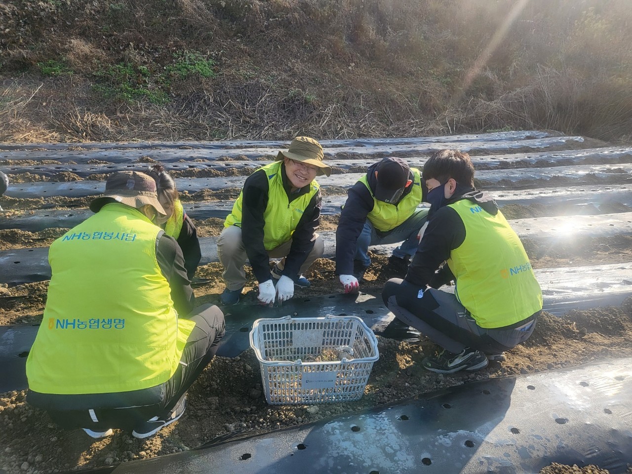 사진=NH농협생명