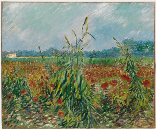 '인상파, 찬란한 순간들: 모네, 르누아르, 반 고흐 그리고 세잔' 전시가 얼리버드 예매 열기에 힘입어 4500원에 관람할 수 있는 파격적인 추가 할인 혜택을 진행한다. 사진은 반 고흐의 ‘밀밭의 양귀비’/사진=이엔에이파트너스