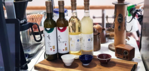 [마켓+]"연말 파자마 홈파티 변함없는 인기"...유통업계 준비 '잰걸음' - 뉴스 썸네일 이미지